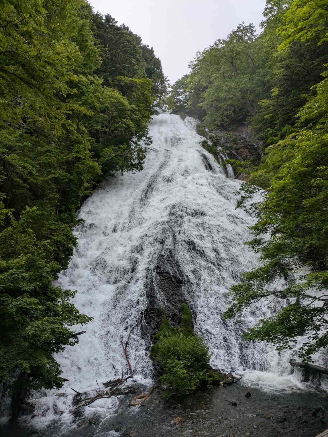 PXL_20250613_073415637.MP_copy_1145x1525